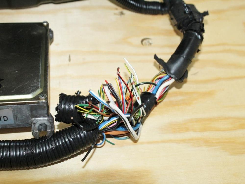 1992-2000 Honda Civic SIR Si B16A DOHC Vtec Engine 5 Speed Manual Transmission P30 ECU: Image 5
